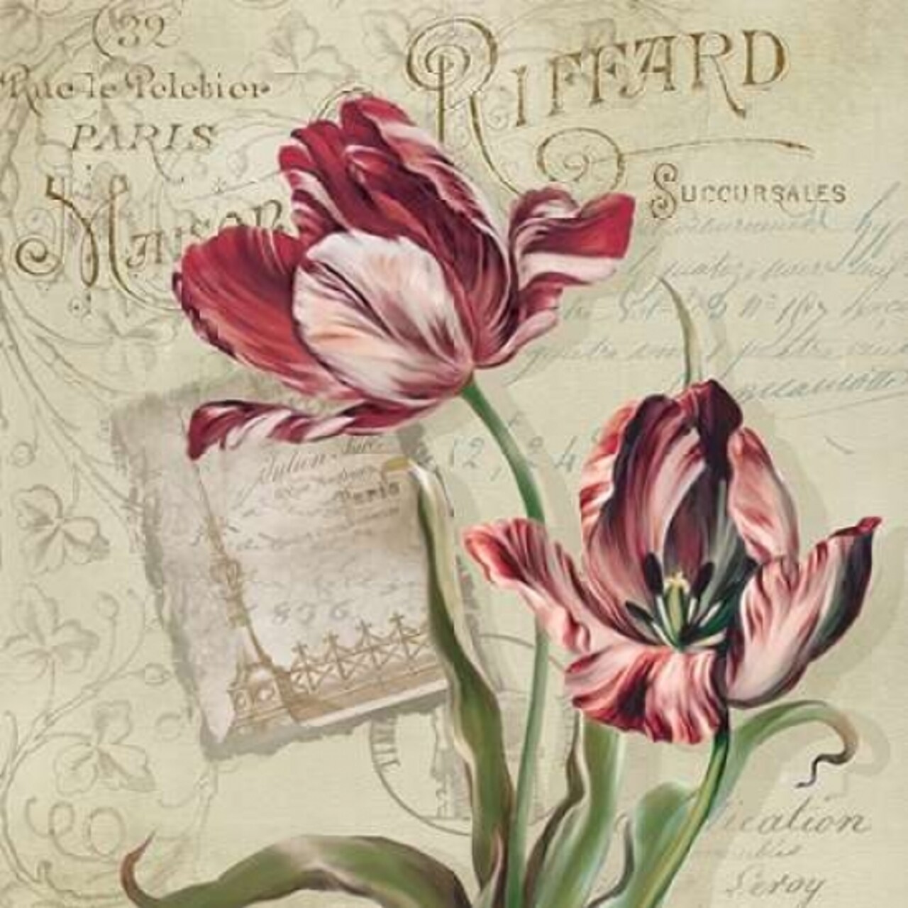 French Tulips II Poster Print by Carol Robinson - Item # VARPDX15282